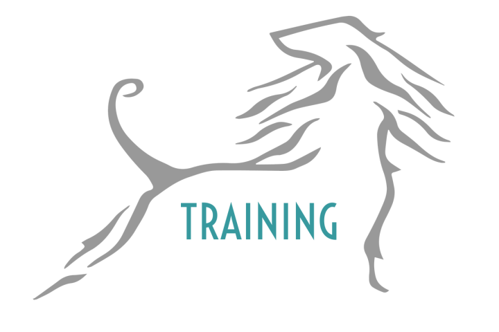 Training im September